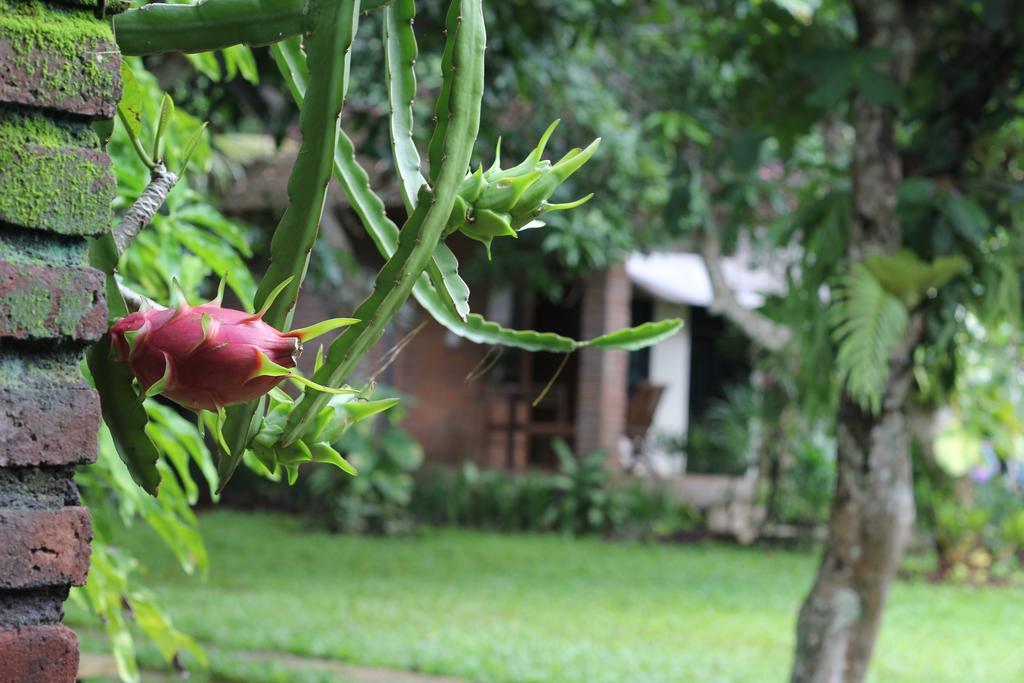 Timbis Homestay Bali Nusa Dua  Dış mekan fotoğraf